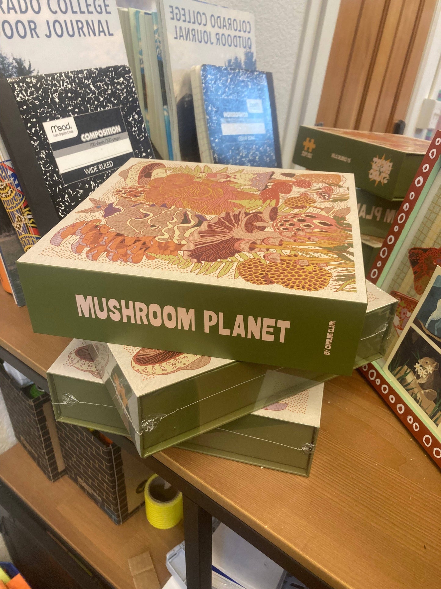 Mushroom Planet Puzzle