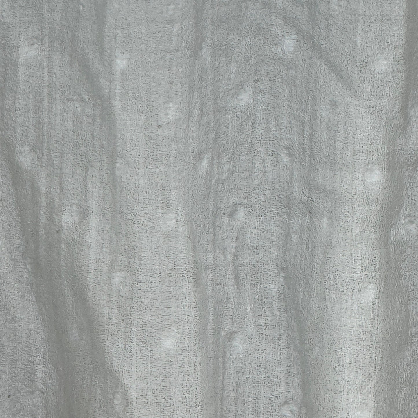 Vintage Edwardian Cotton Gauze Blouse Swiss Dot White XS