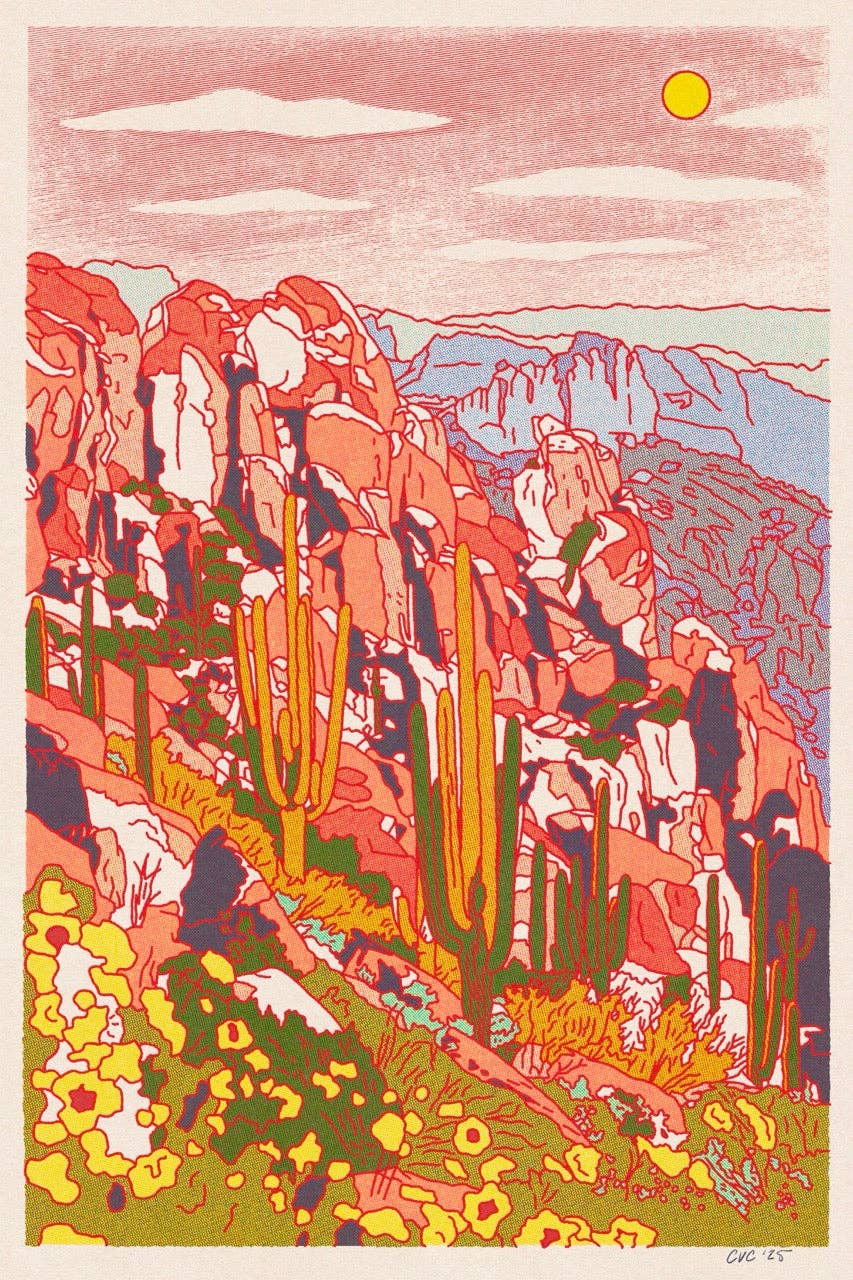 Desert Spring Print 24"x36" Print Framed