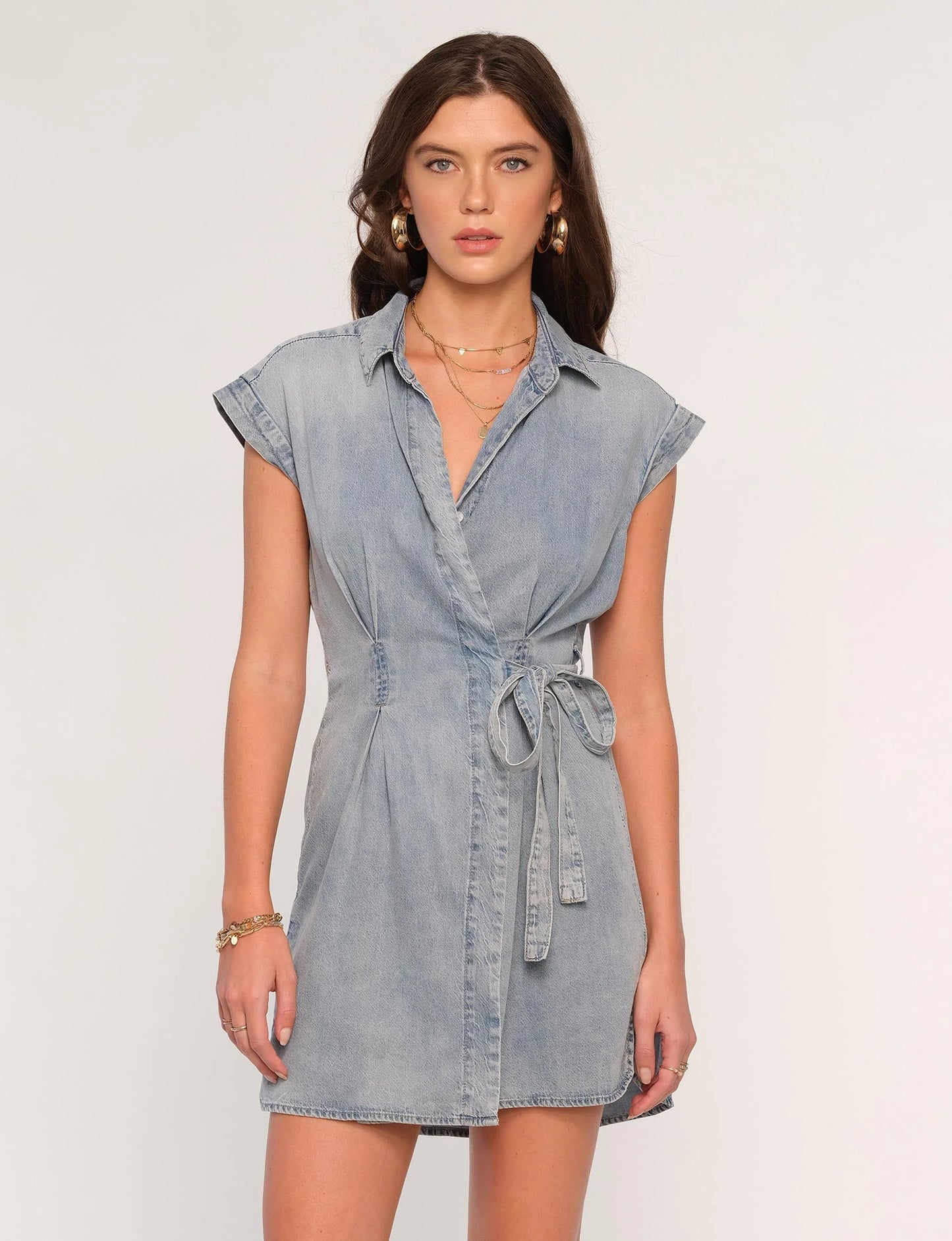 Alexis Denim Dress