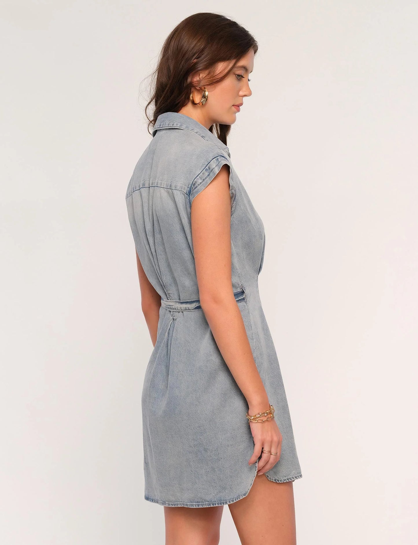 Alexis Denim Dress