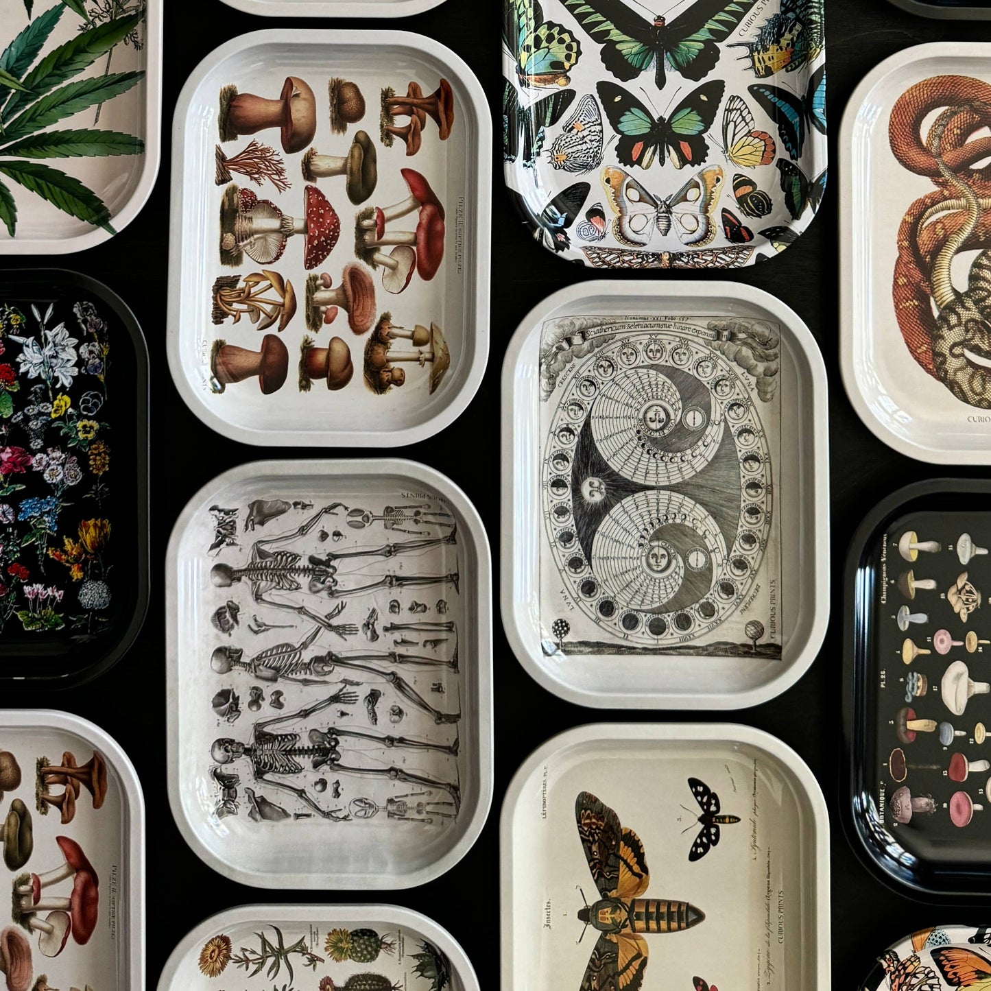 assortment of ritual trays from curious prints