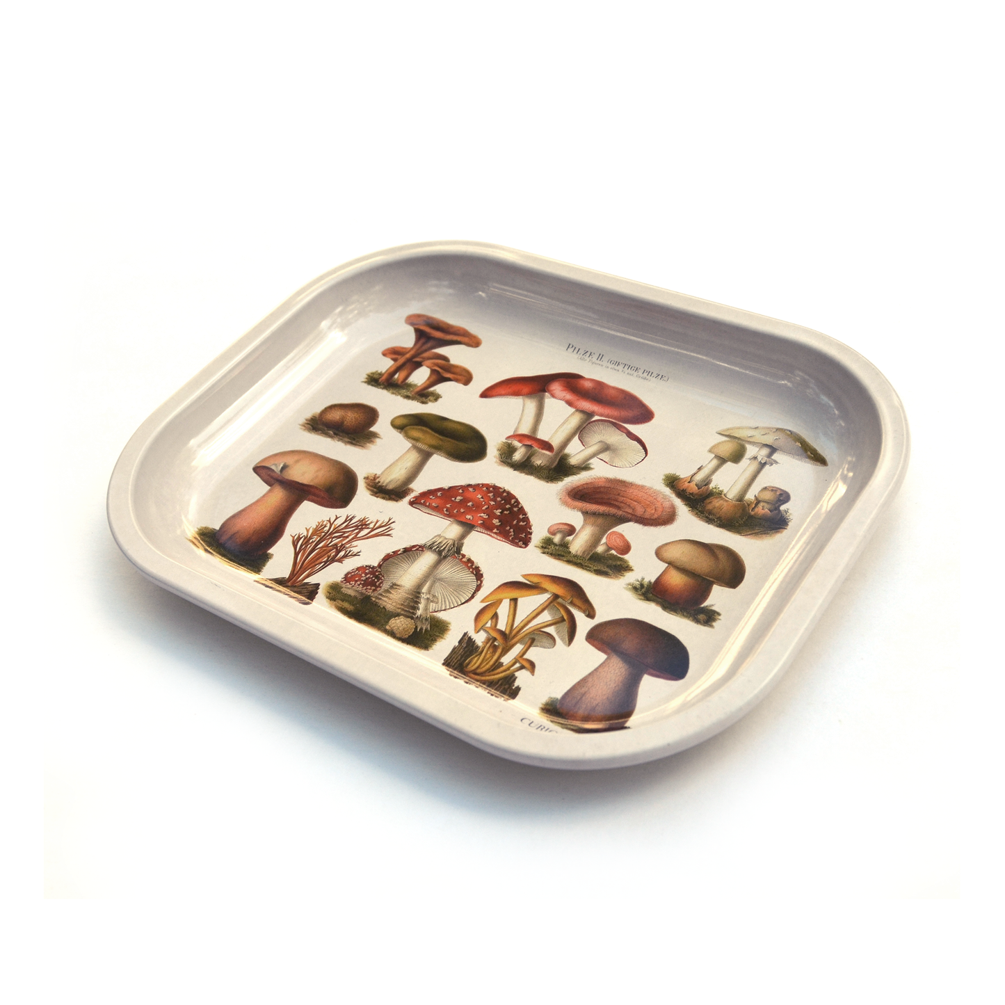 curious-prints-mushroom-pattern-ritual-tray-mstgoods.com