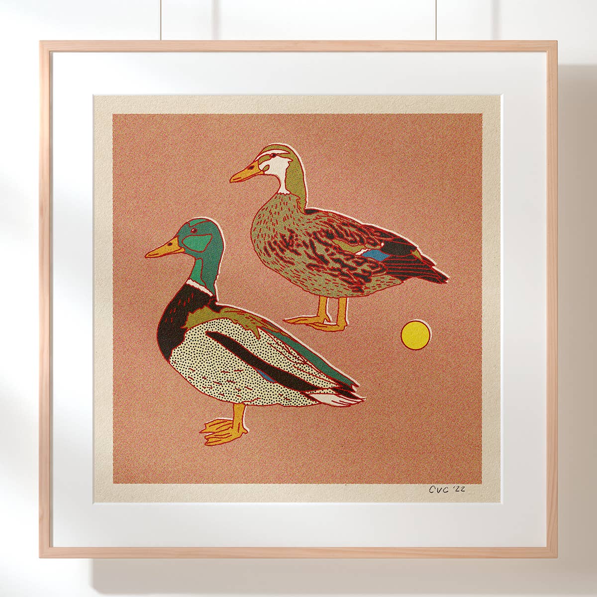 Mallard Ducks 12x12 Print