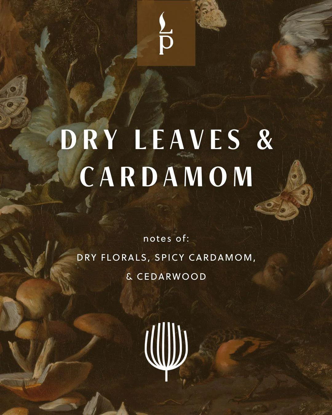 Dry Leaves & Cardamom Candle