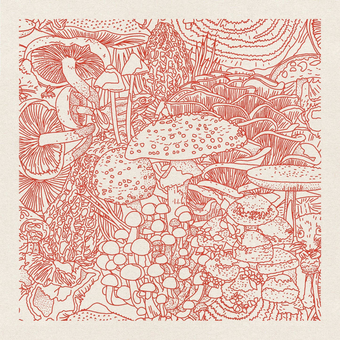 Mushroom Planet #5 12"x12" Print
