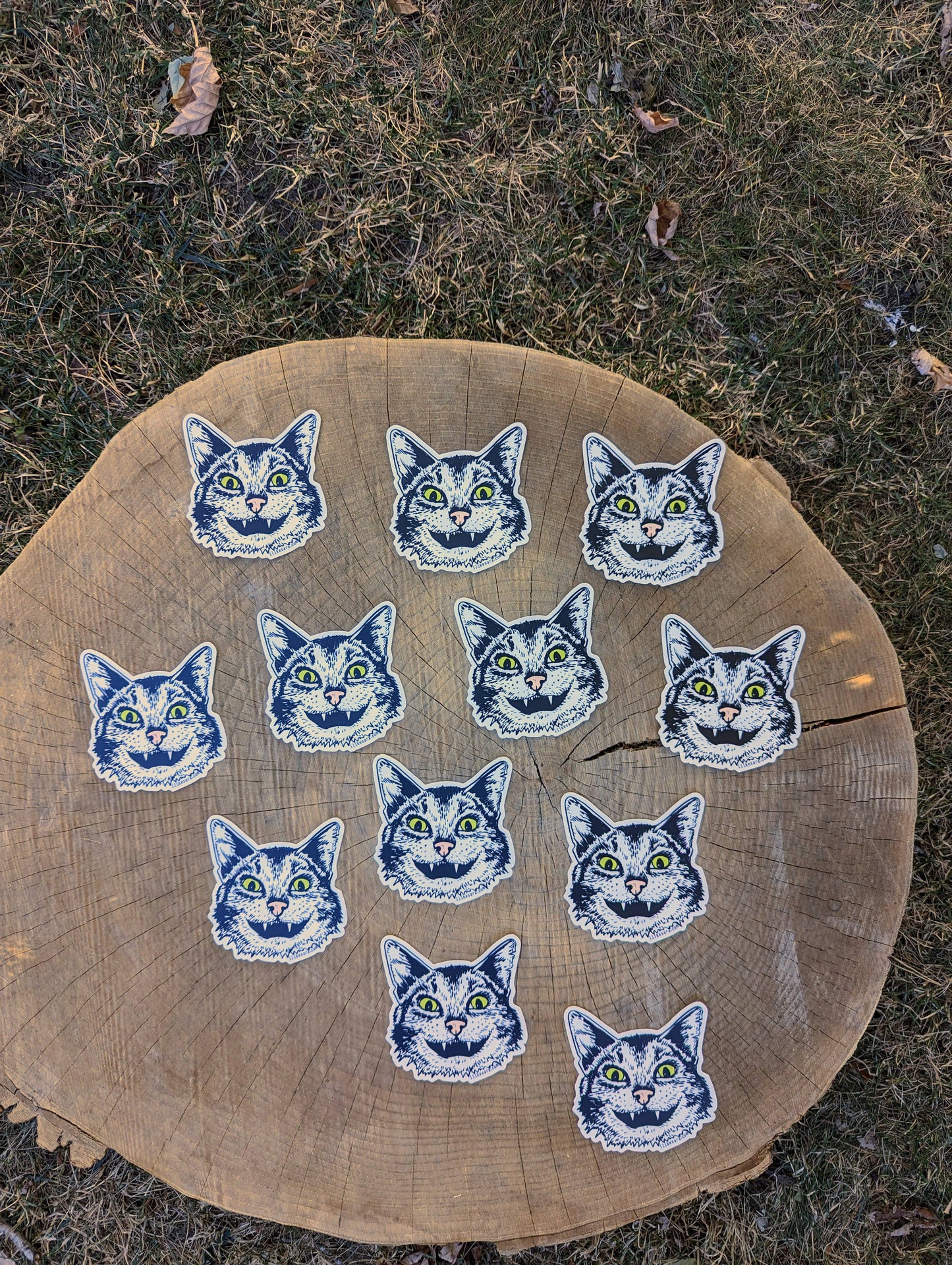 Sticker | cat face
