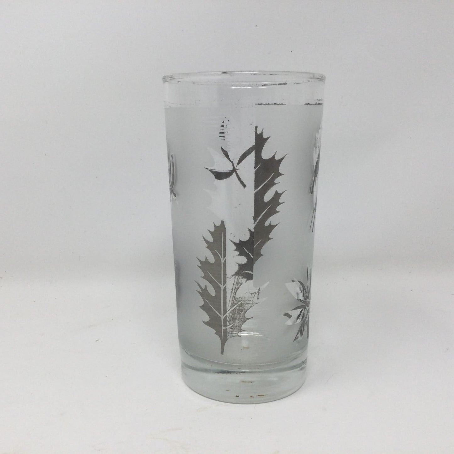 Libbey Starlyte Frosted Silver Leaf Glasses Foliage Set of 8 With Carrier