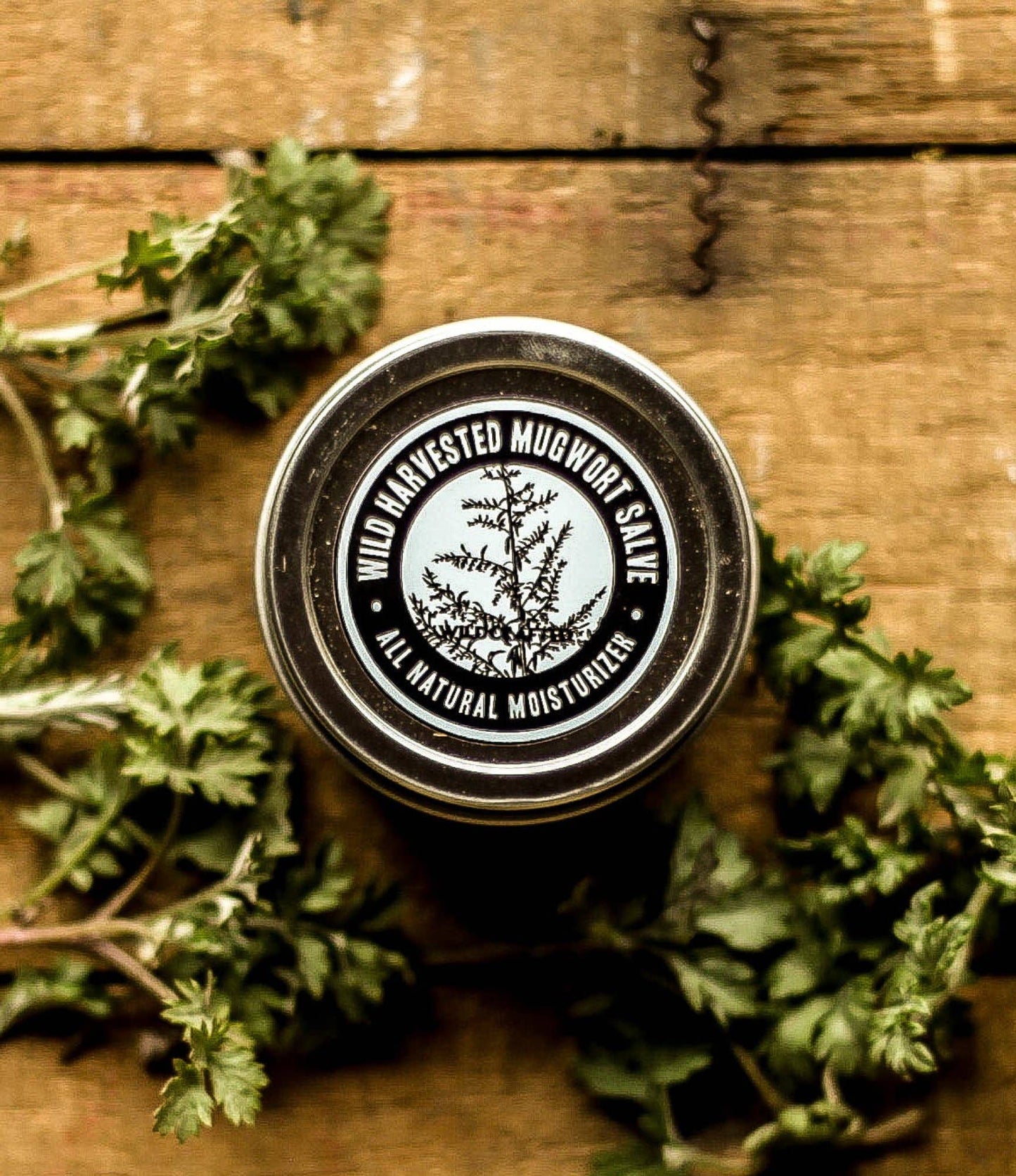 Mugwort Salve