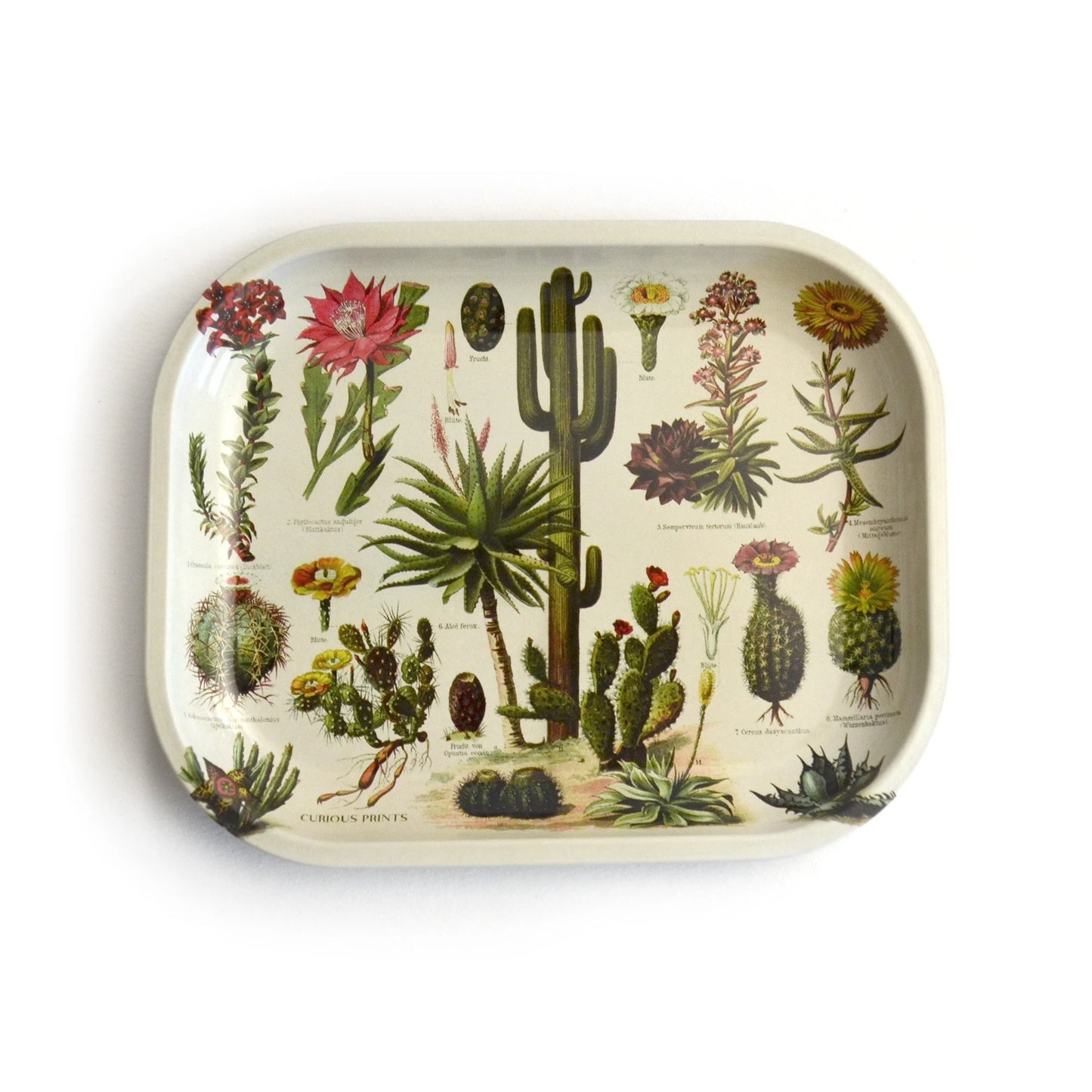 Metal Ritual Tray