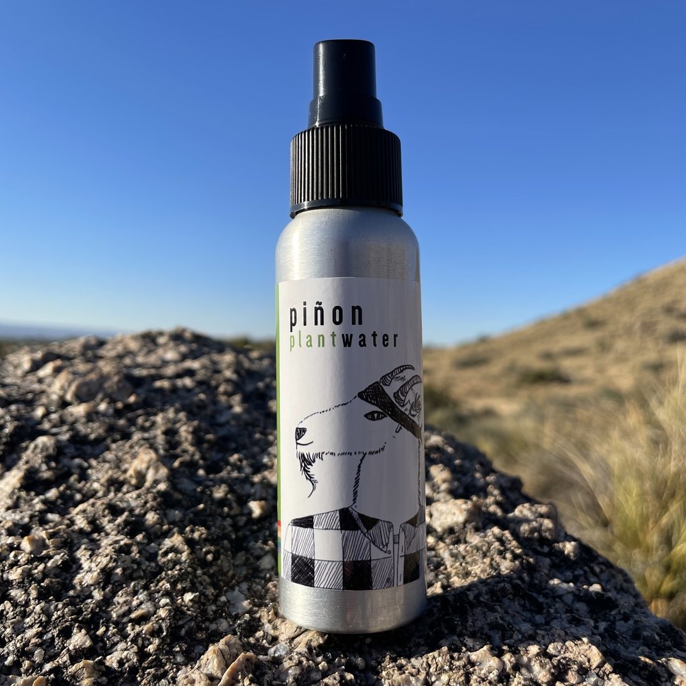 Dryland Wilds PlantWater