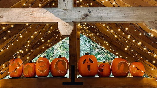 🎃 Colorado’s Spookiest October: Halloween Events in Denver & Colorado Springs - MST Goods