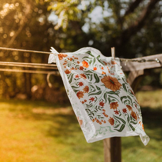 What Sustainability Means at Mountain Standard Goods | Eco-Friendly Goods in Colorado
