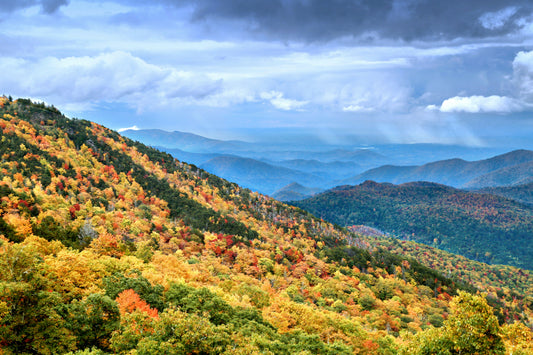 The Ultimate Guide to Leaf Peeping in Colorado 🍂