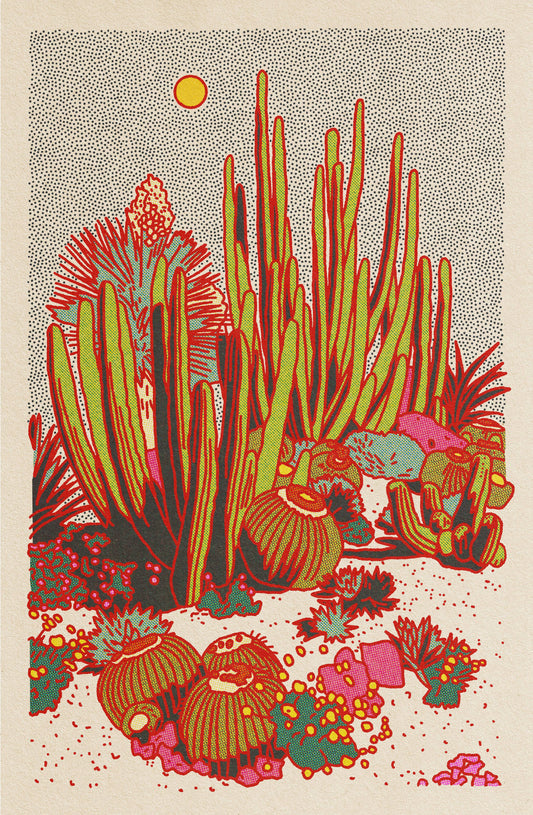 Cactus Planet #2 24"x36" Print Framed