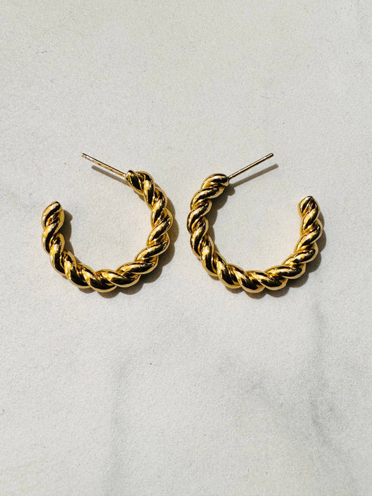 Nash Stainless Steel Twist Hoop Earrings