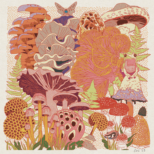 Mushroom Planet Puzzle