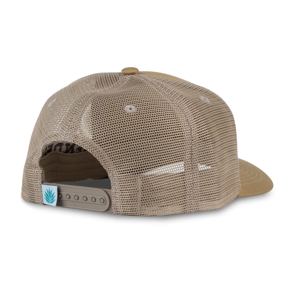 Armadillo Rodeo Hat