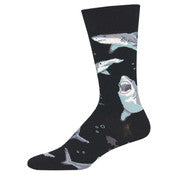 Shark Chums Socks