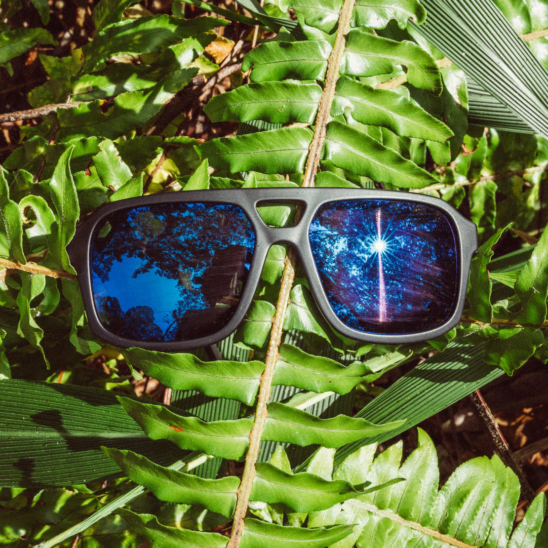 Paladino Sunglasses