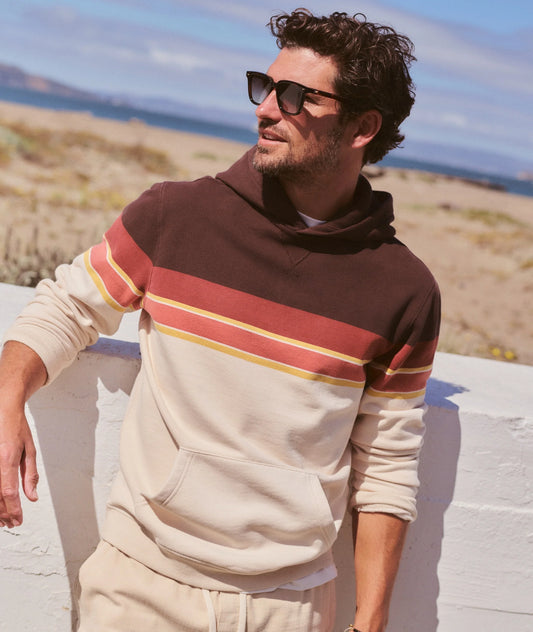 Cloud 9 Fleece Hoodie in Brown Colorblock