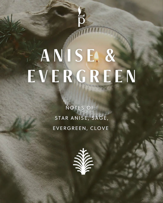 Anise + Evergreen