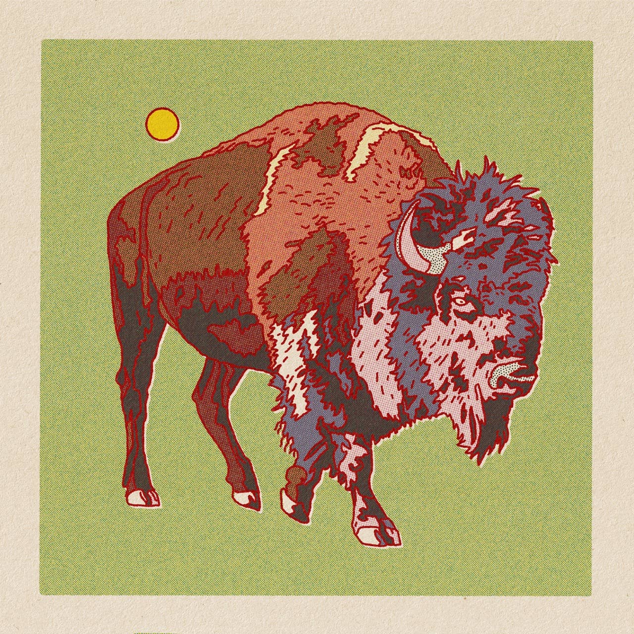 Bison/Buffalo 12x12 - MST GoodsArt PrintCaroline Clark
