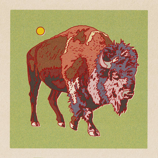 Bison/Buffalo 12x12 - MST GoodsArt PrintCaroline Clark