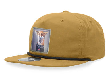 Brown cap with a patch featuring a dog on a white background