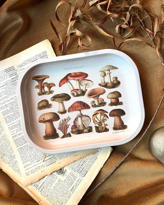 curious-prints-mushroom-design-ritual tray displayed in ritual area with pages and plants