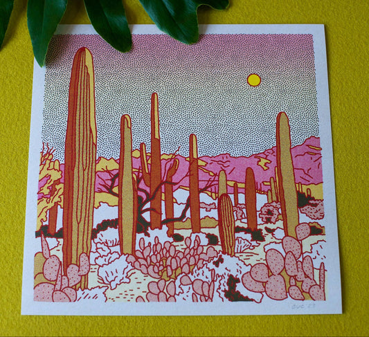 Desert Mountain 25 12x12 - MST GoodsArt PrintCaroline Clark