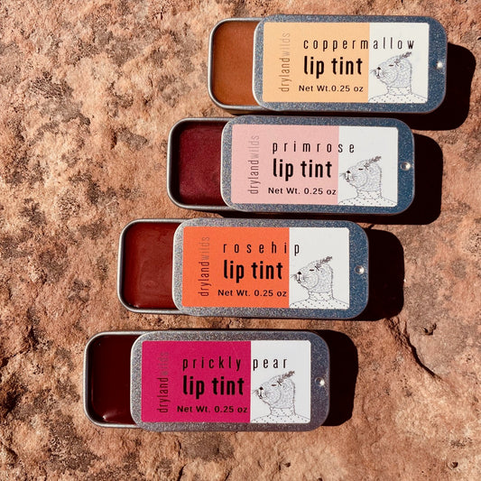 four shades and flavors of natural botanical lip tint by dryland wilds