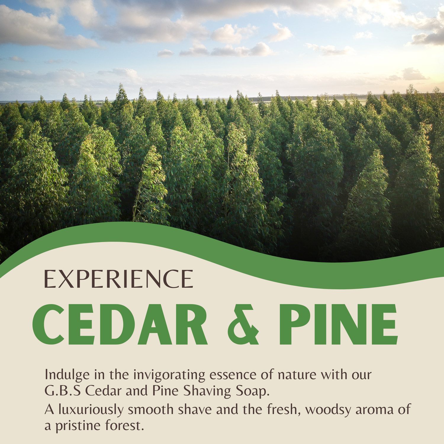 Advertisement for G.B.S Cedar and Pine Shaving Soap with a forest background