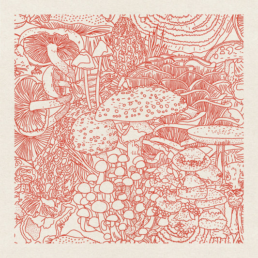Mushroom Planet #5 12"x12" Print