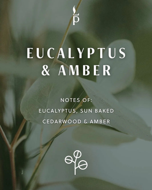 Eucalyptus & Amber