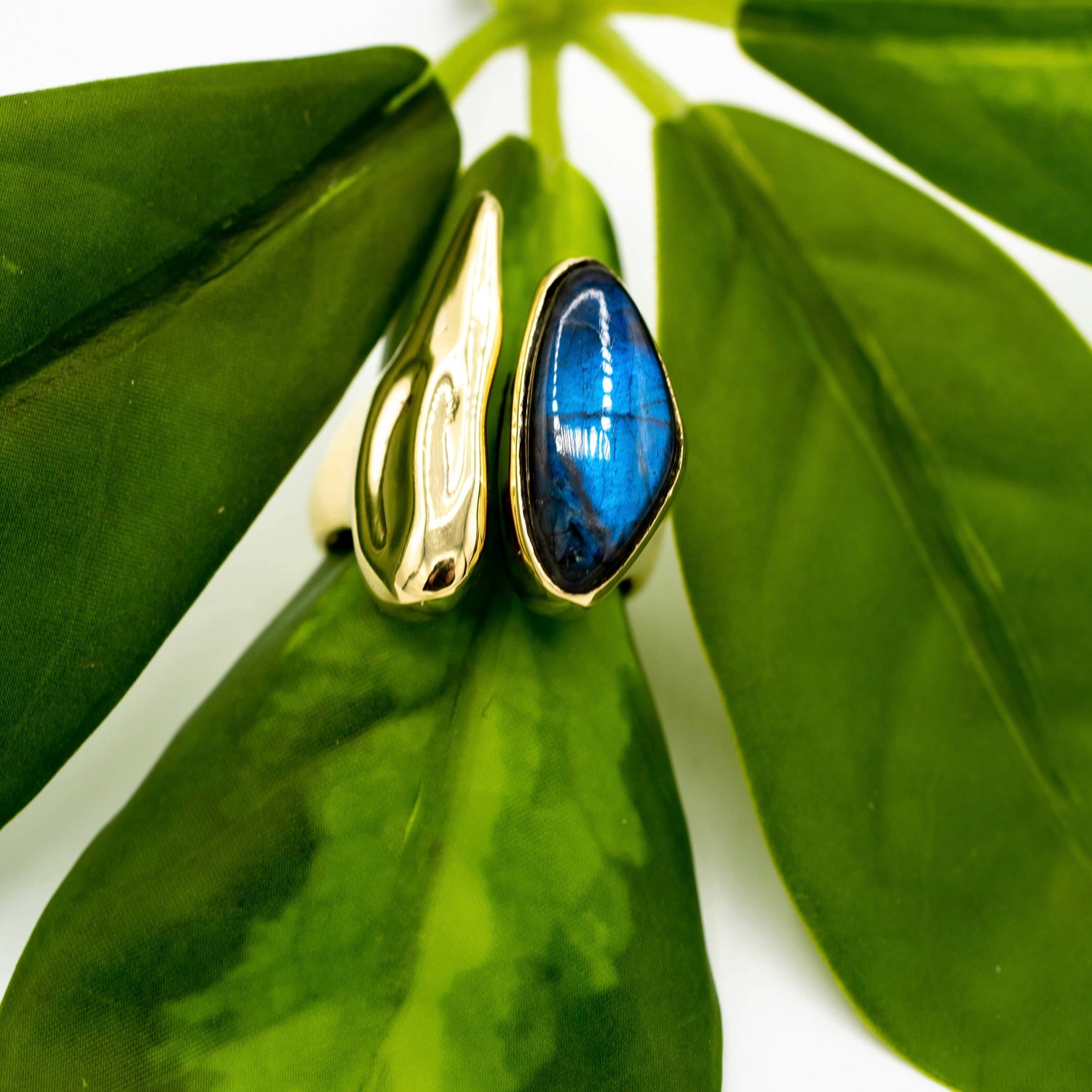 Gold ring with blue stone on green leaves