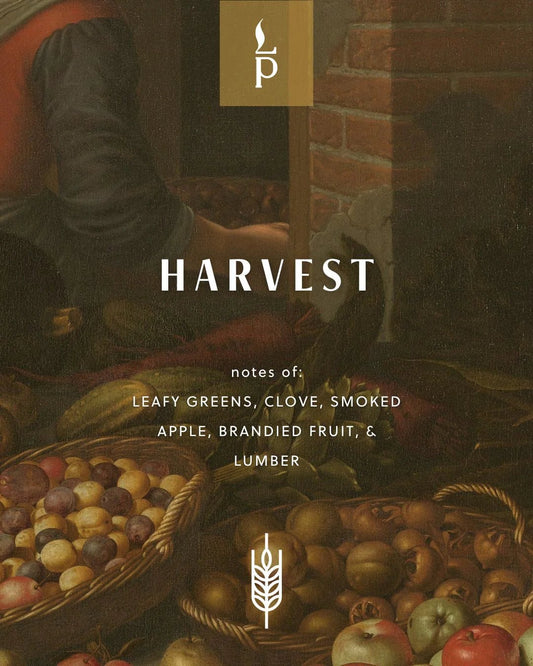 Harvest Candle - MST GoodsHand Poured CandleLight Provisions