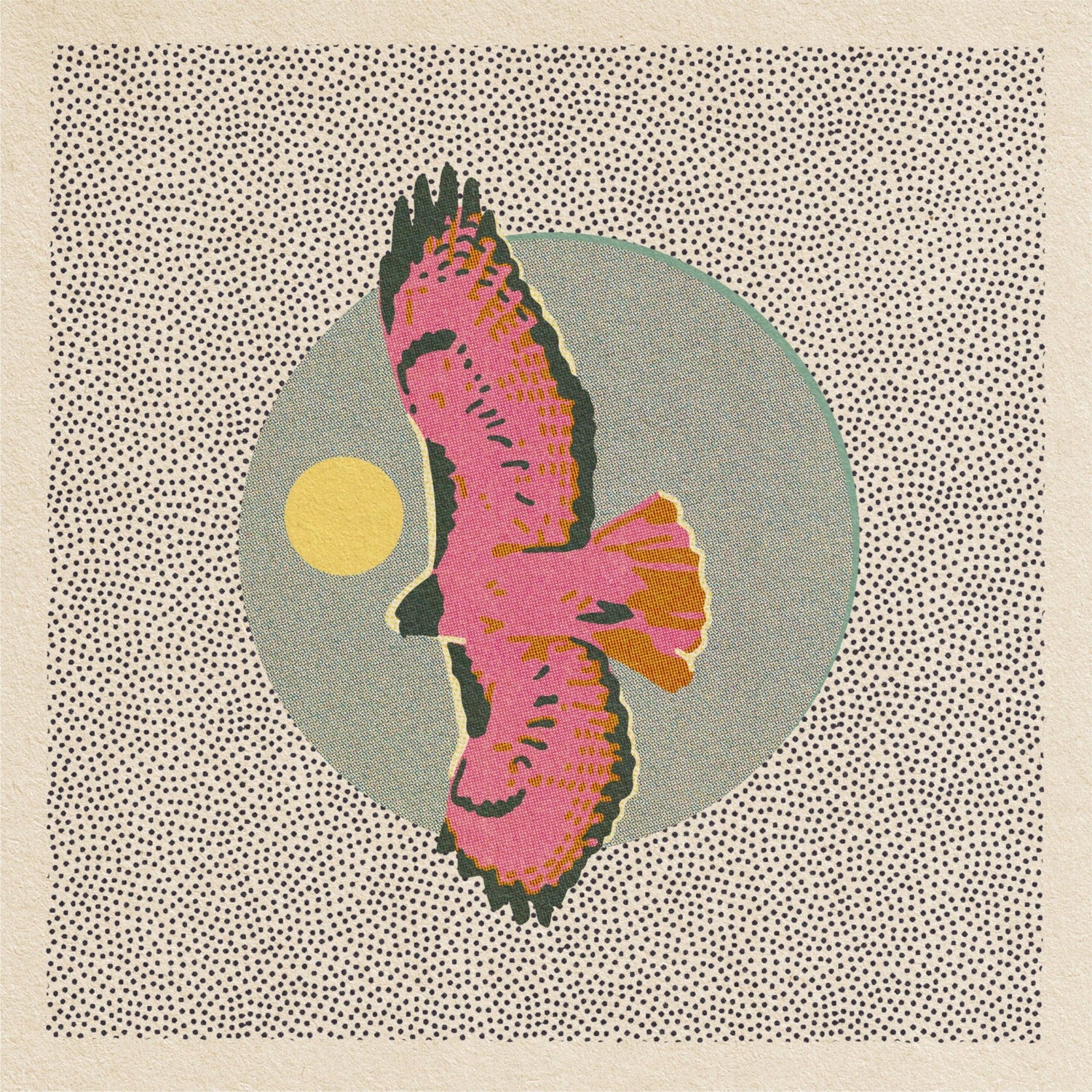 Hawk Art Print - MST GoodsCaroline Clark