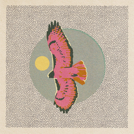 Hawk Art Print - MST GoodsCaroline Clark