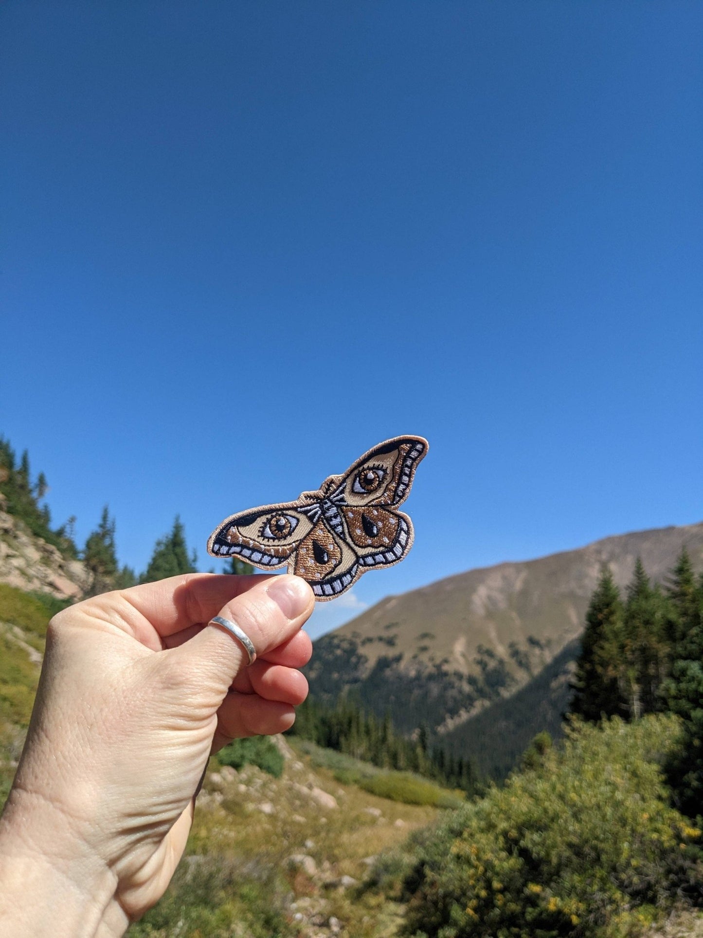 Iron - on patch | moth - brown 3.4" x 1.6" - MST Goodsilikesara | art + goods