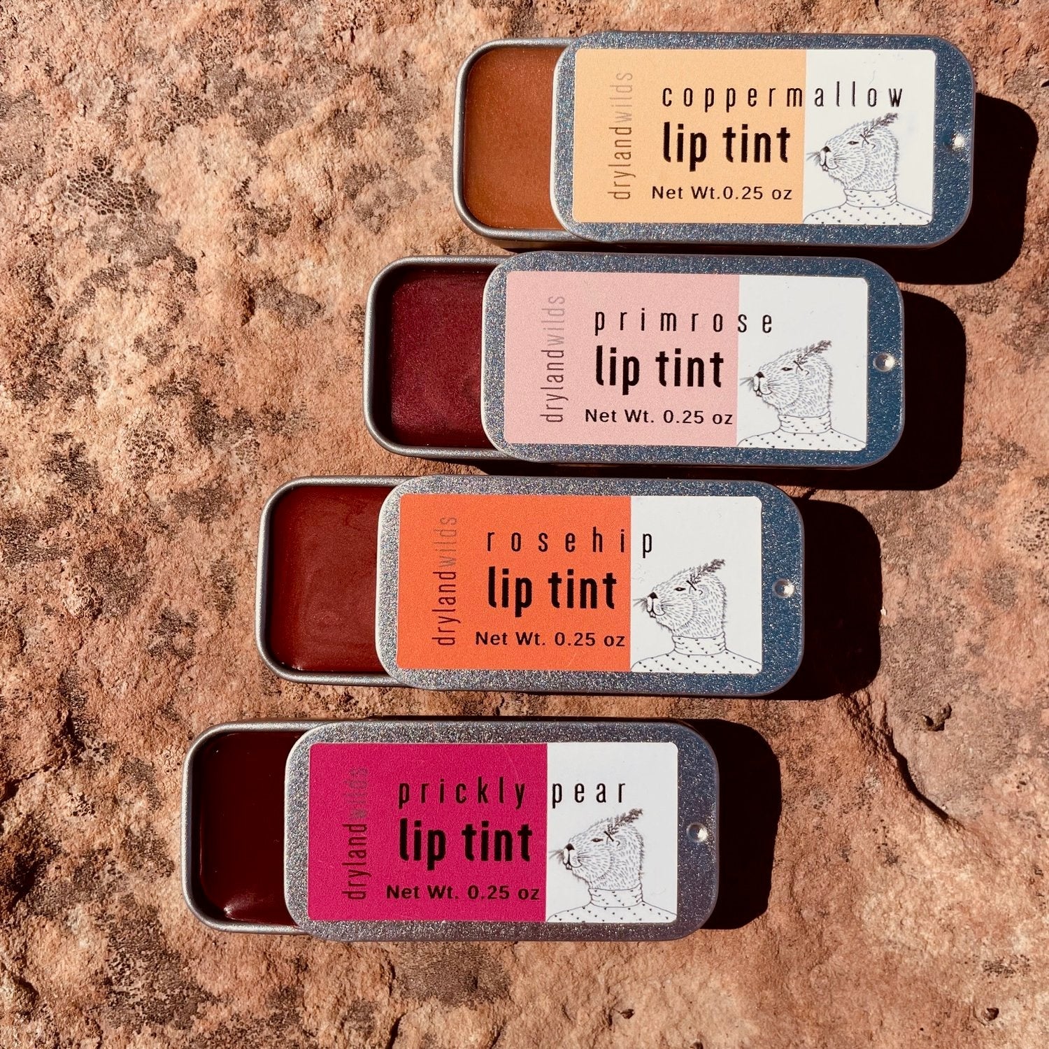 Lip Tint - MST GoodsLip GlossDryland Wilds