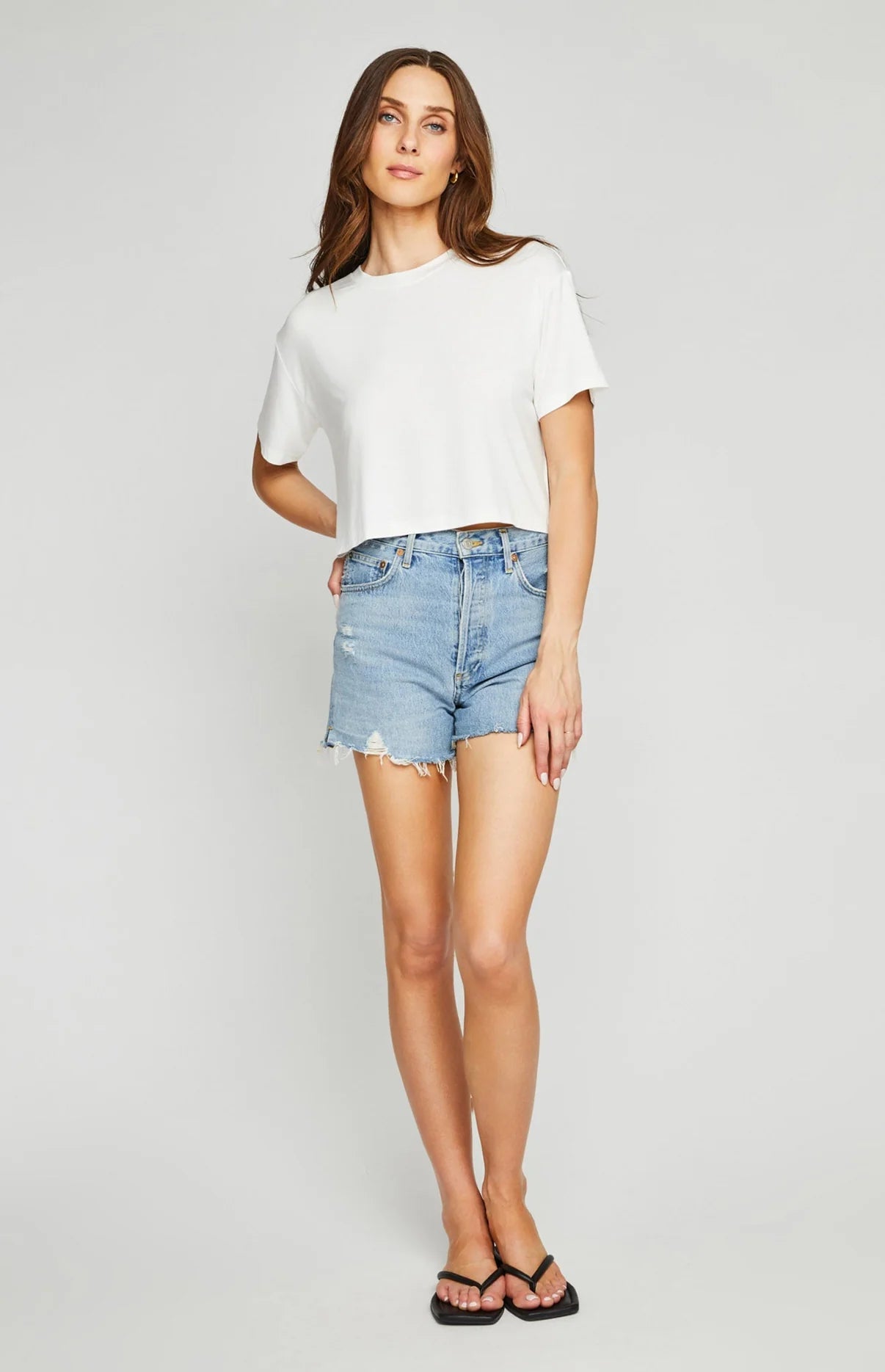 Logan Tee - MST GoodsT ShirtGentle Fawn