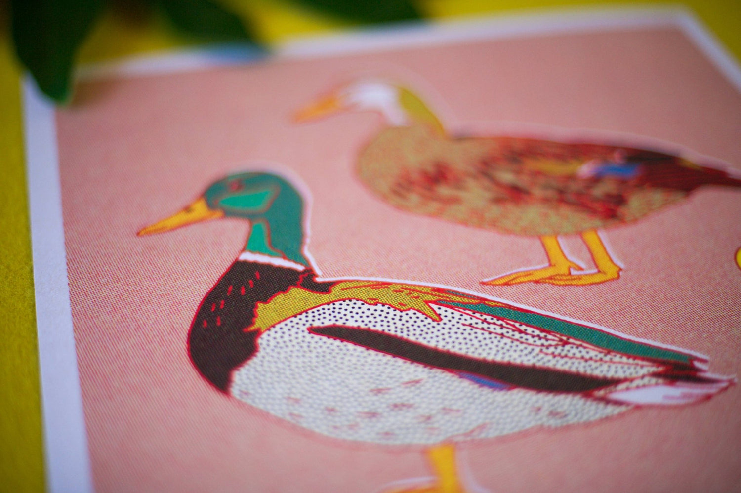 Mallard Ducks 12x12 Print - MST GoodsArt PrintCaroline Clark