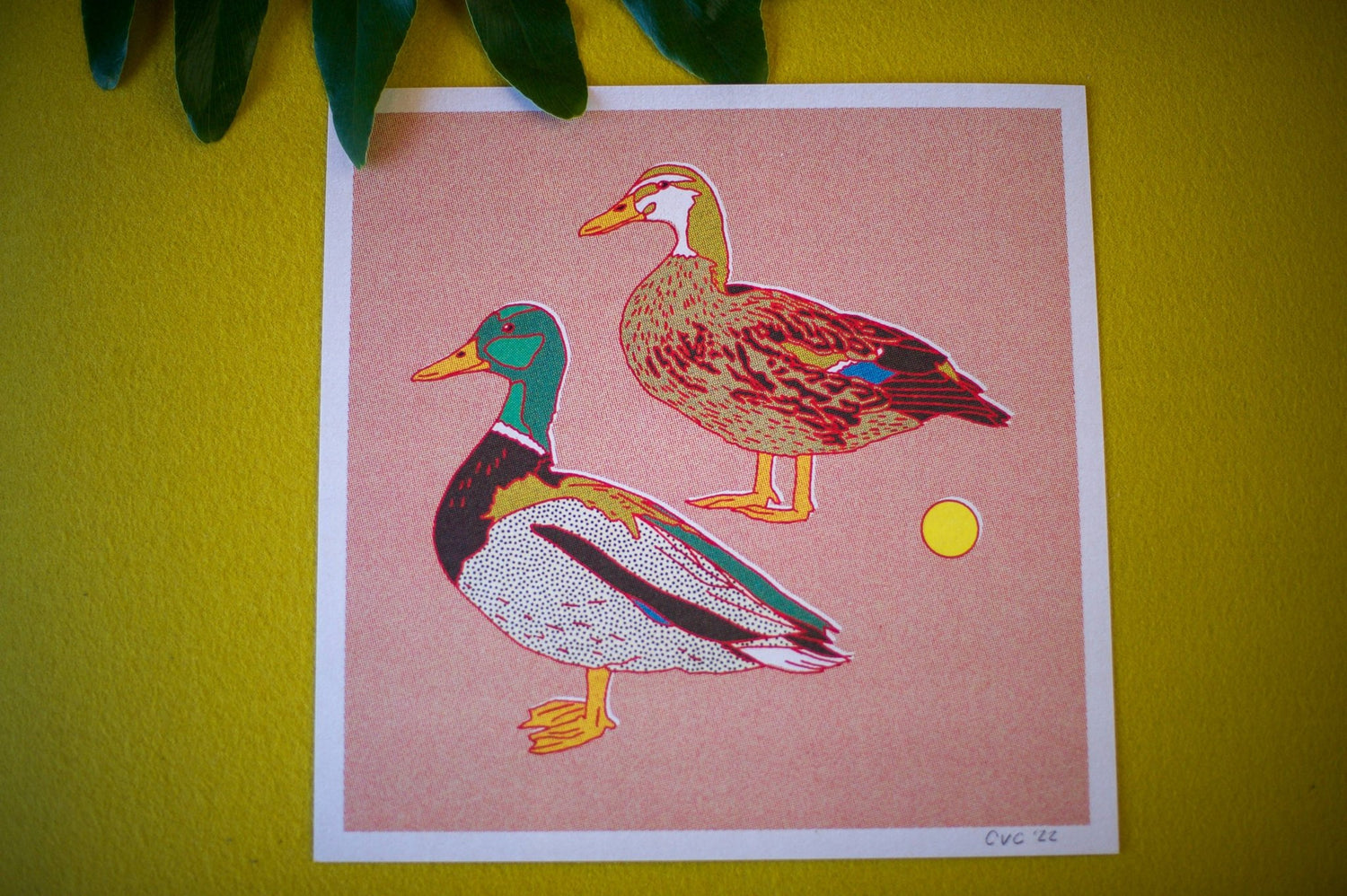 Mallard Ducks 12x12 Print - MST GoodsArt PrintCaroline Clark