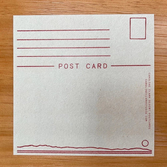 Morning Desert Postcard Set - MST GoodsArt PrintCaroline Clark