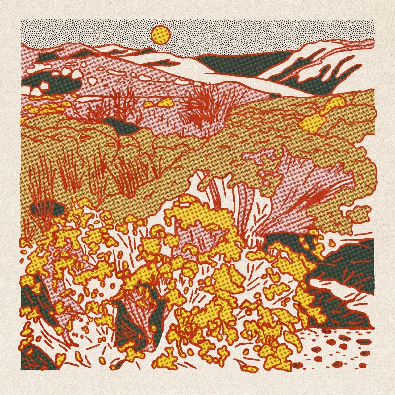 Morning Desert Postcard Set - MST GoodsArt PrintCaroline Clark