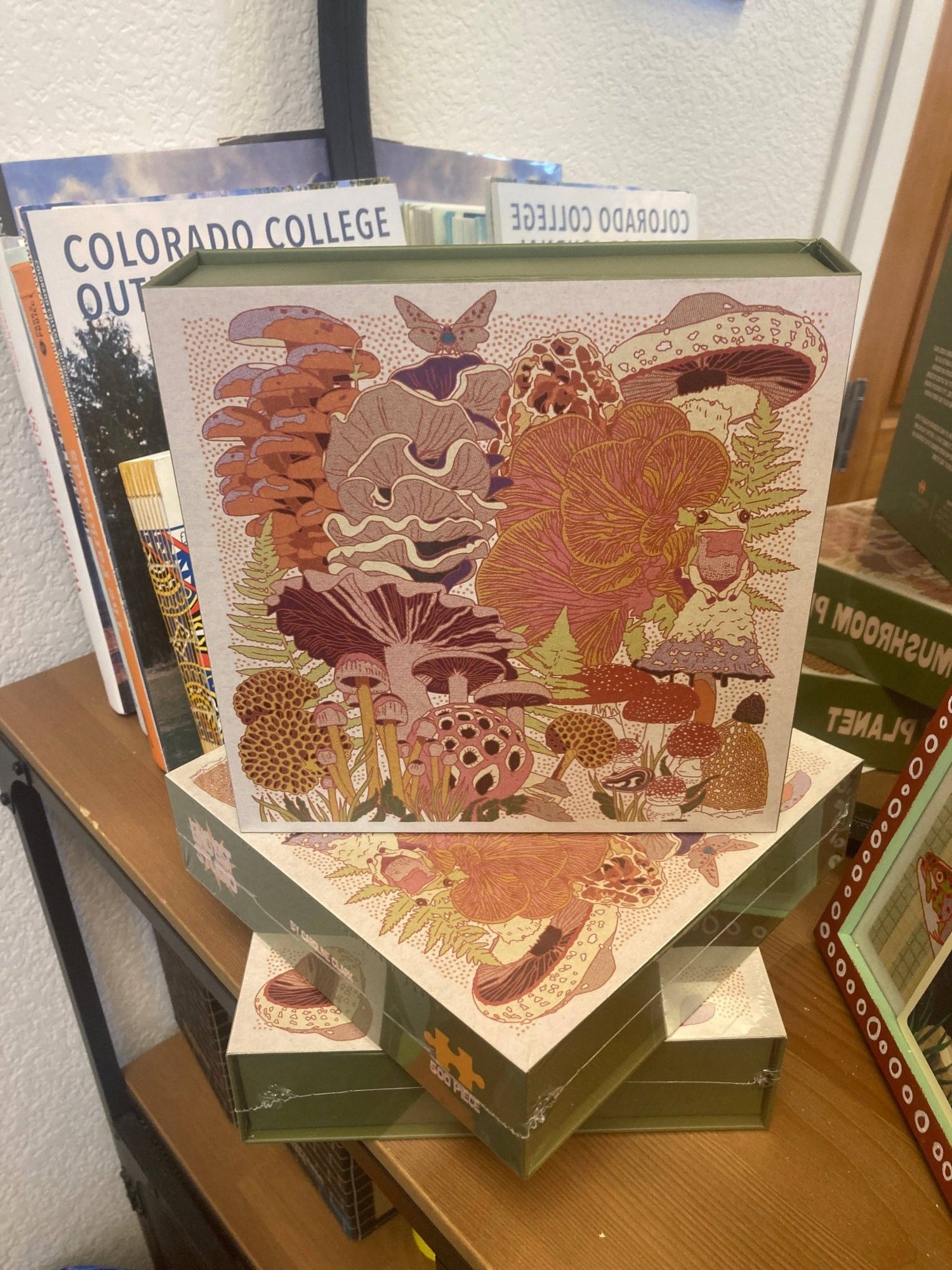 Mushroom Planet Puzzle - MST GoodsCaroline Clark