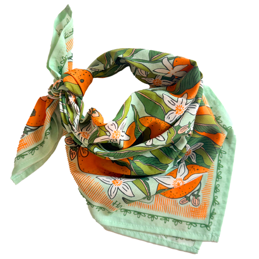 No. 146 Zoe Bandana - MST GoodsHandker Bandanas