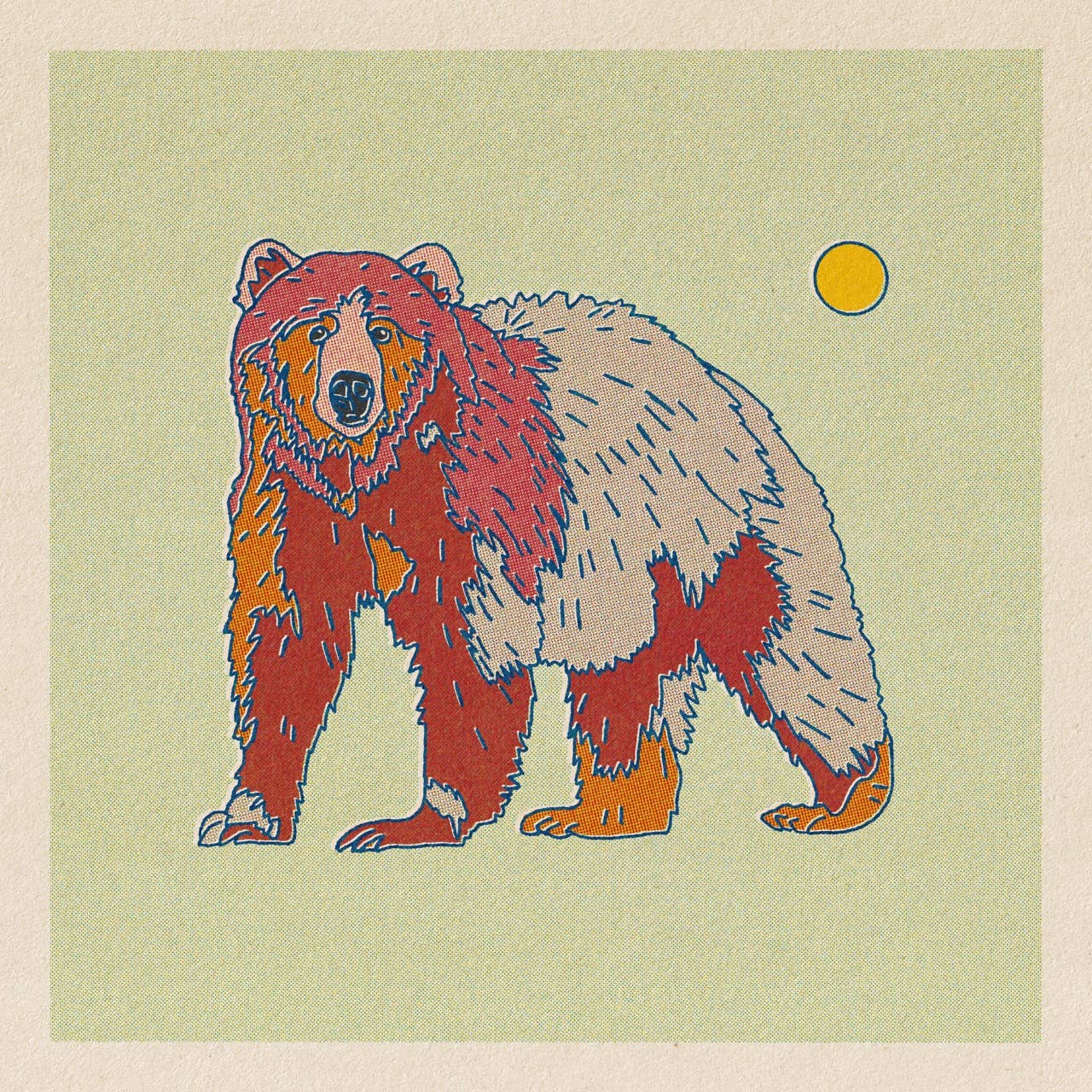 Rainbow Bear 12x12 - MST GoodsArt PrintCaroline Clark