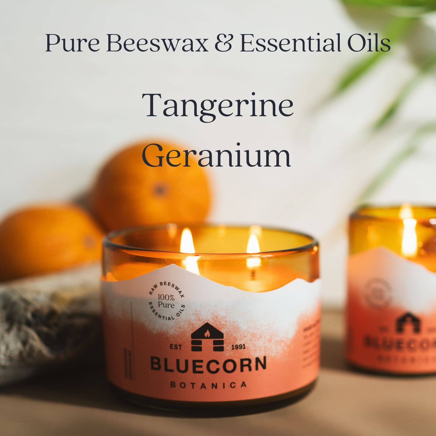 Scented Beeswax Candles - Pure Essential Oils - Blown Glass Holders - MST GoodsBluecorn Candles